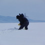 PHOTOS